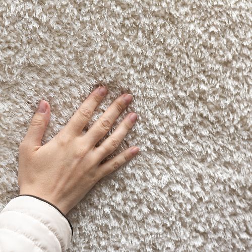 Carpet Cleaning in DFW