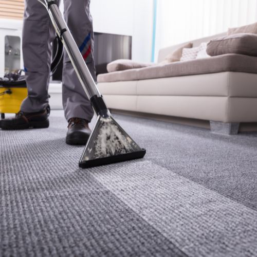 Carpet Cleaning in DFW